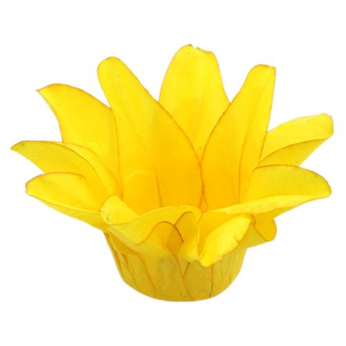 Forma P/ Doce Estrela Do Mar C/ 20 Uni Decora