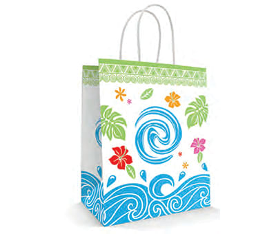 Sacola Papel Ilha 18x09x22 C/ 10 L E L