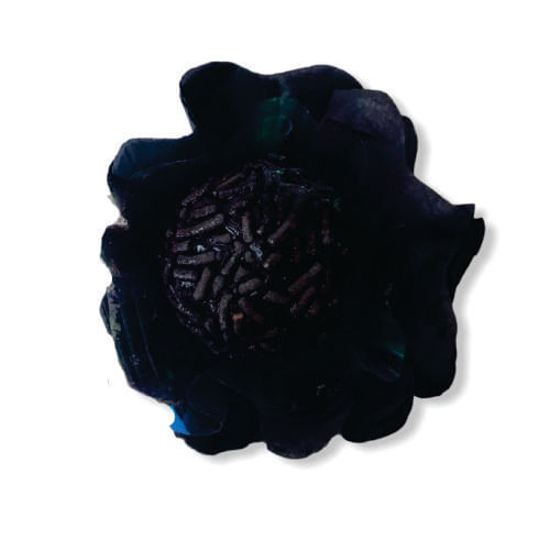 Forma P/ Doce Flor De Lis Preta 50 Un Lulli