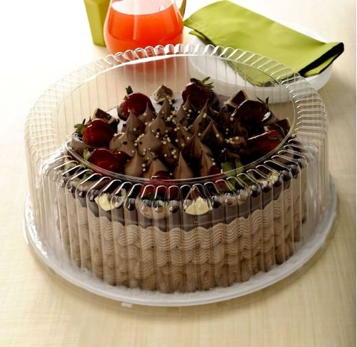 Emb. P/ Bolo G80 Ma 31,6x12,5cm C/ 10 Un Galvanotek