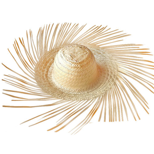 Chapeu De Palha Desfiado Adulto Renno