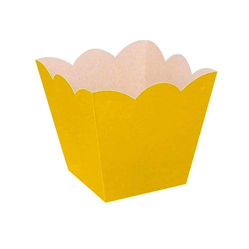 Cachepo Mini S/ Micro 10un