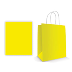 Sacola Papel Amarelo 18x09x24 C/ 10 L E L
