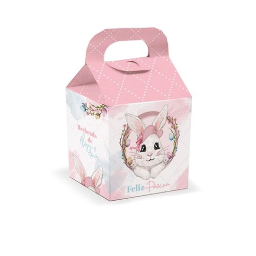 Caixa Casinha 14x10,5x24 Cm Loly Un Jr
