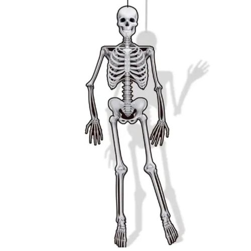 Dec. De Parede Halloween Esq. C/1 Un Regina