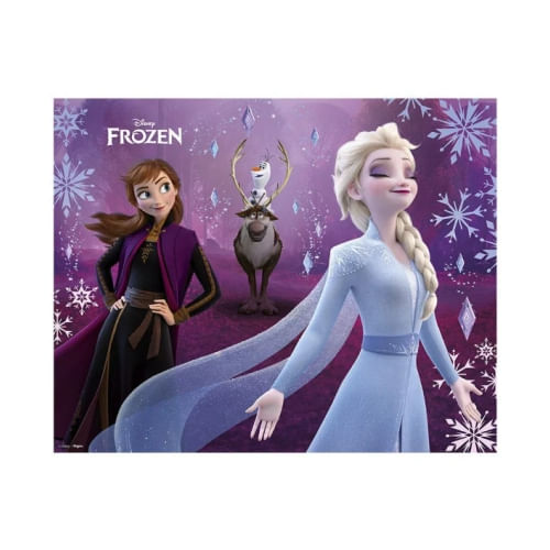 Painel Plastico Frozen 100x78cm Regina