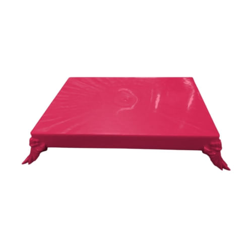 Bandeja Romana Retangular 20x15 Cm Rosa Neon Havetech