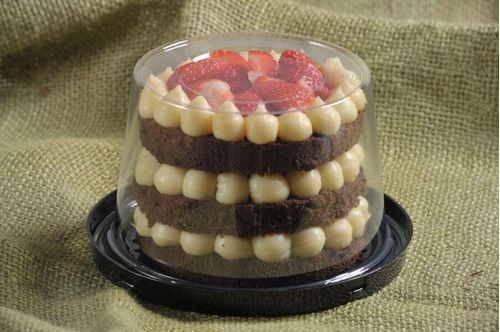 Embalagem Mono Porçao G31 Ct C/ 10 Un Galvanotek