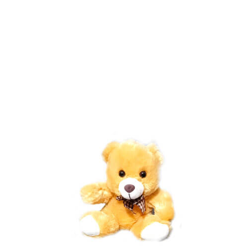 Pelucia Urso Laço Amarelo 20 Cm (Fc2609) Fizzy