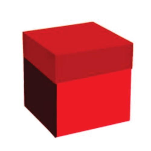 Caixa Multiuso C/ Tampa Vermelho (6107-T) Un Kid-Art