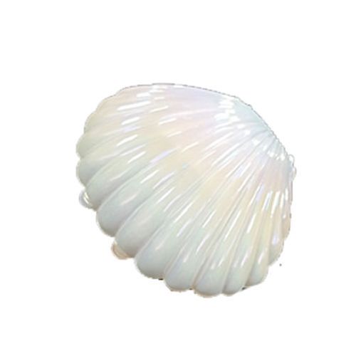 Porta Joia Concha Branca 9,7x5 Cm Un Fox Import