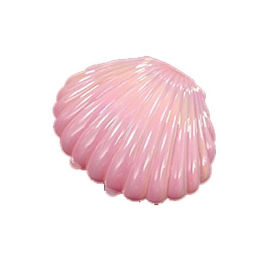 Porta Joia Concha Rosa 9,7x5 Cm Un Fox Import