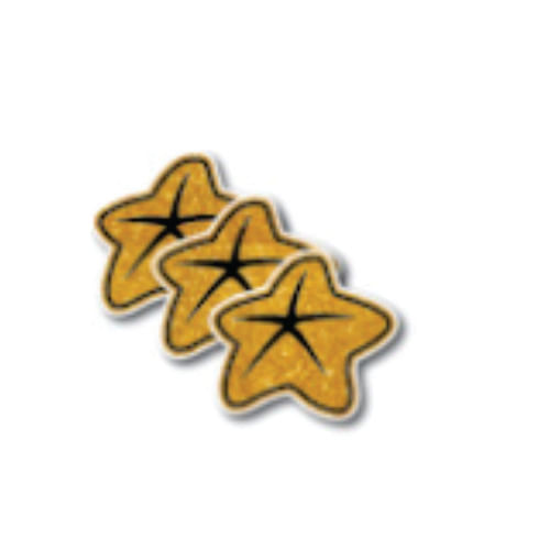 Aplique E.V.A Estrela Do Mar Sereia C/ 03 Un (Sr0404) Grintoy