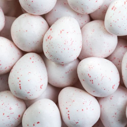 Chicle Ovos Dinossauro 230 Gr Fini