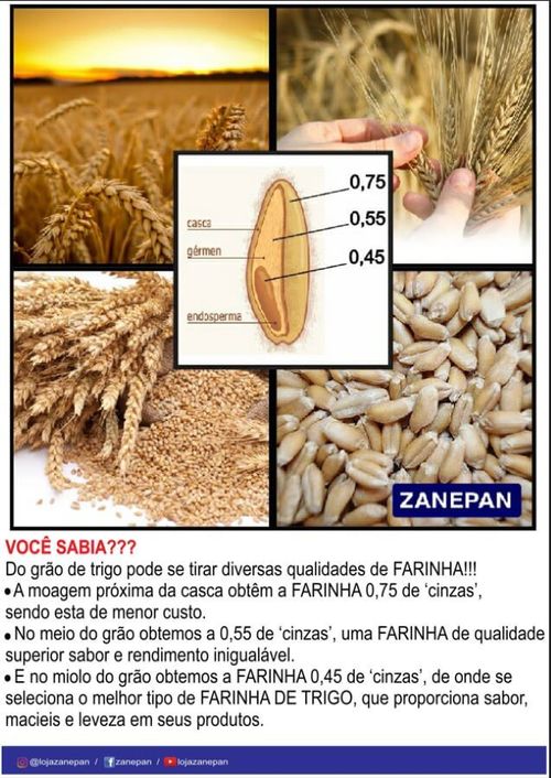 Ft 6.0 Super Especial (0,45) 25 Kg Canuelas