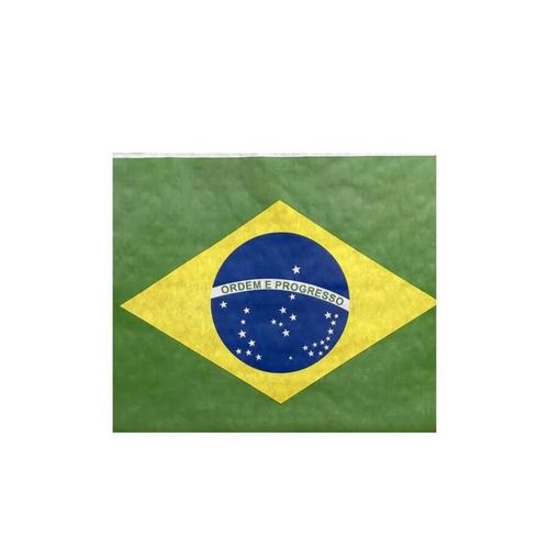 Painel Tnt Bandeira Brasil 1 Mt